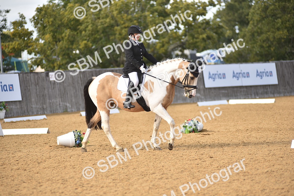 SBM_24350 - D4 - Small Tour Championship Intro 4