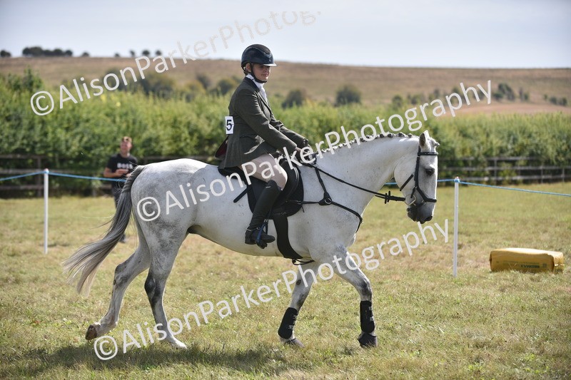 20260906-2694 - Class 13 - Working Hunter Horse or Pony