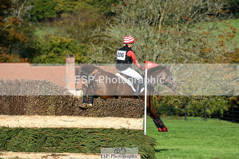 251024A-143546-13461 - C-206-Madison.Tapner