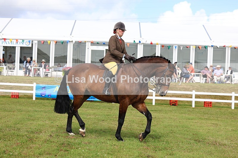 3E7A9458 - Class 4: Rising Star M/H Hunter