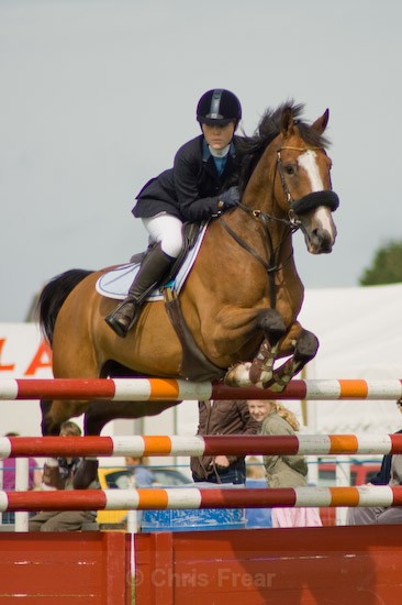 6 - Equestrian Photography