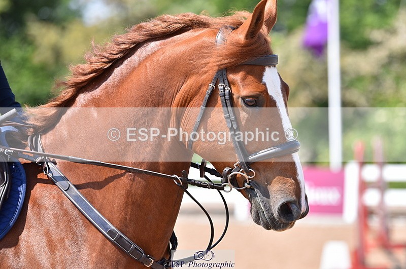 230609A-110324-00399 - Cls 9 Discovery & 1m Open