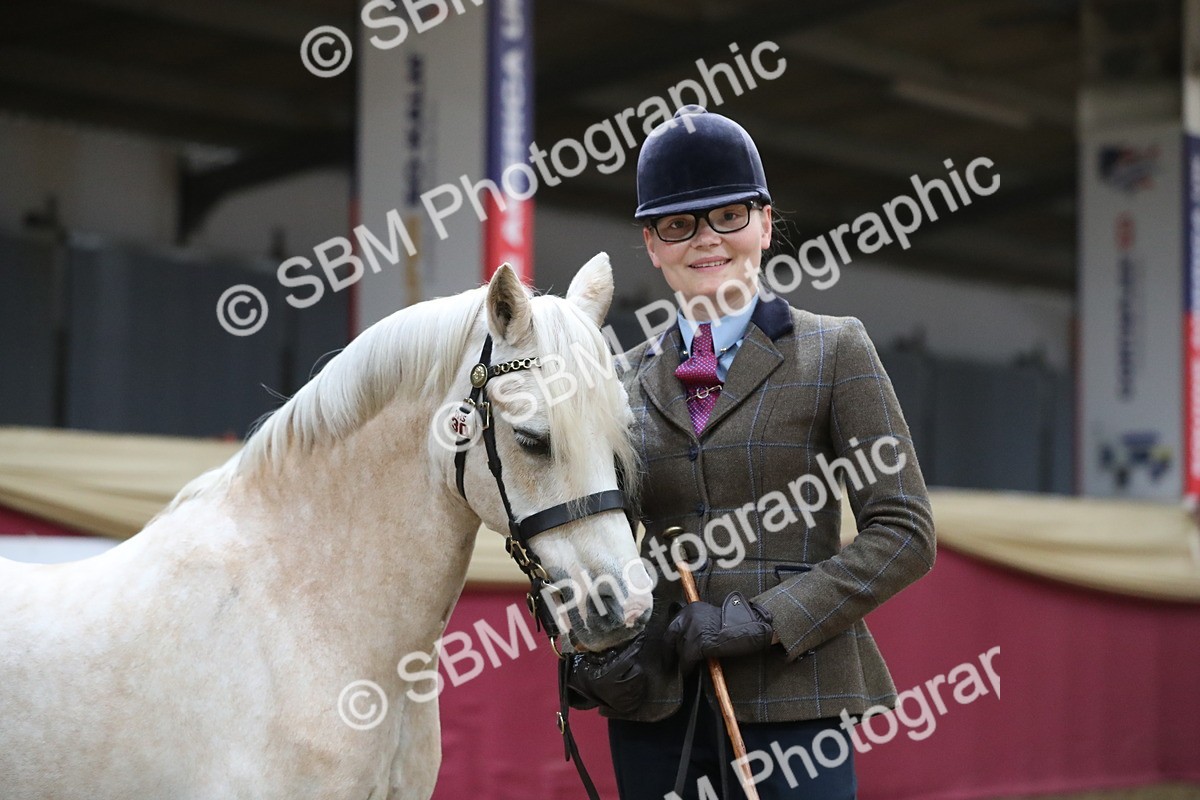 SBM_00275 - Class 1a - Area IH Diamond