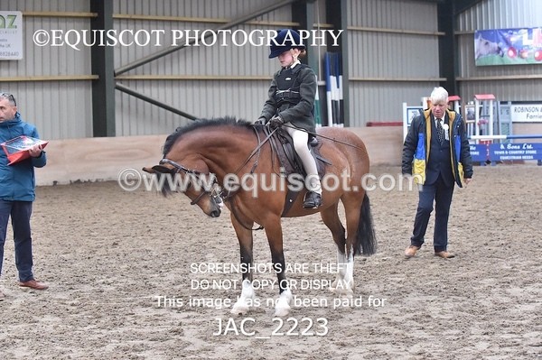 JAC_2223 - CLASS 2 Novice Working Hunter