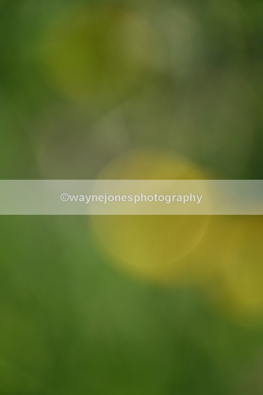 WJ7_9671 - Time 18:44 to 19:18