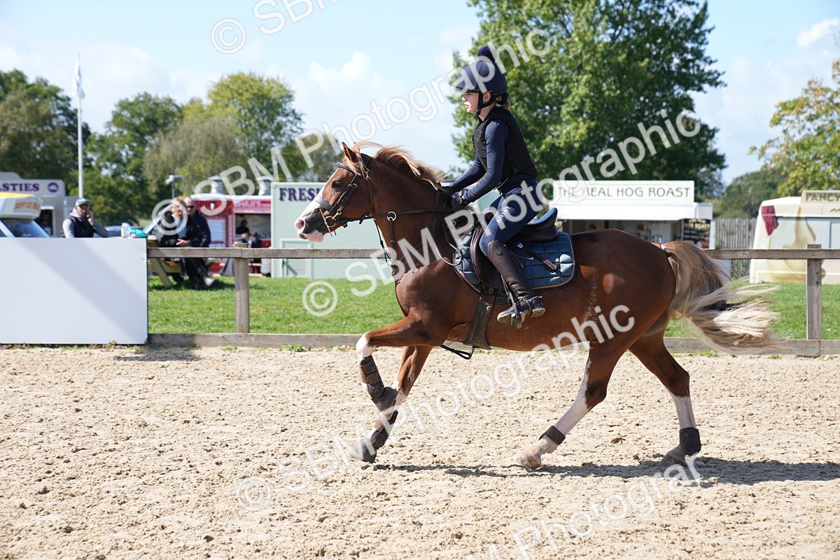 SBM_04994 - J56 - Clear Round 70cm