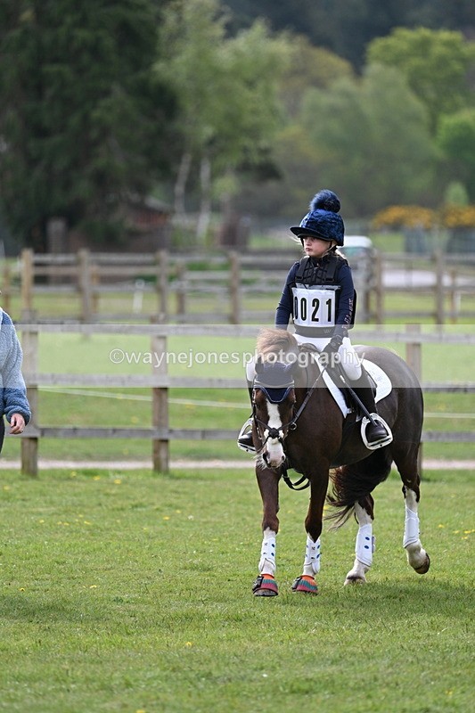 WJ7_5324 - 60cm Time 10:32 to 10:55