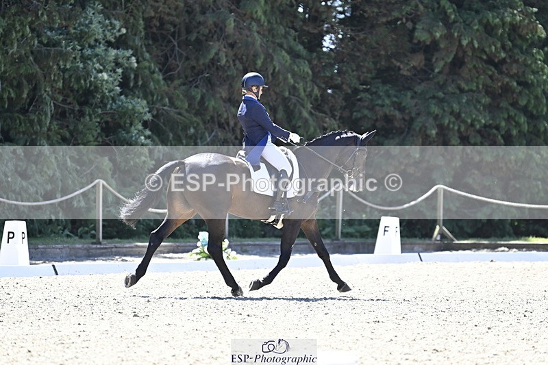 250522A-112536-03100 - B-319-Ali.Wilkes-JAZZ.ROOS