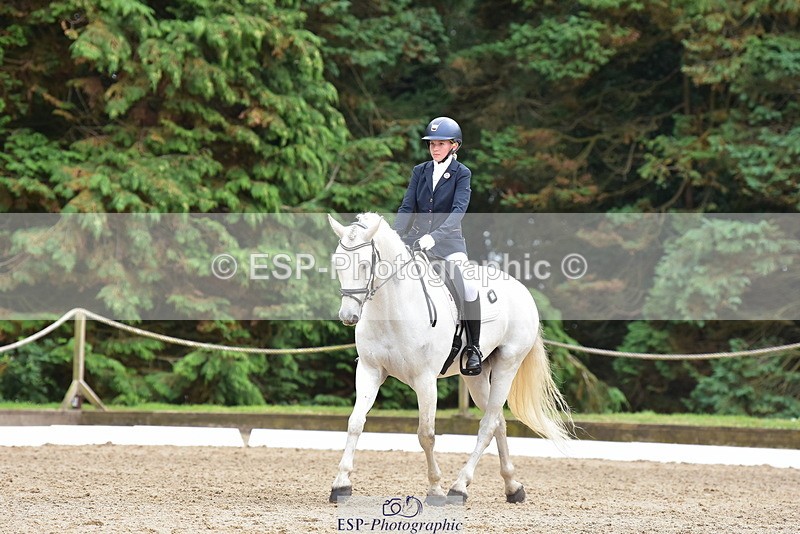 250719A-153726-06905 - 024-Neve.Moran-Clareville.Golden.Knight