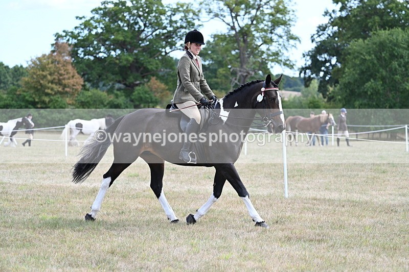 WJ7_5934 - Class 13 Ridden Veterans
