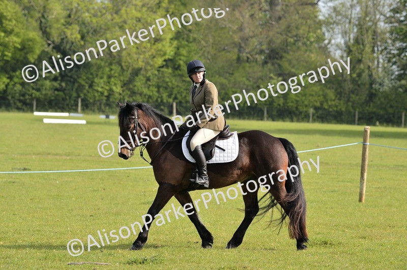 20260426-0873 - Class 18 - Novice Showing
