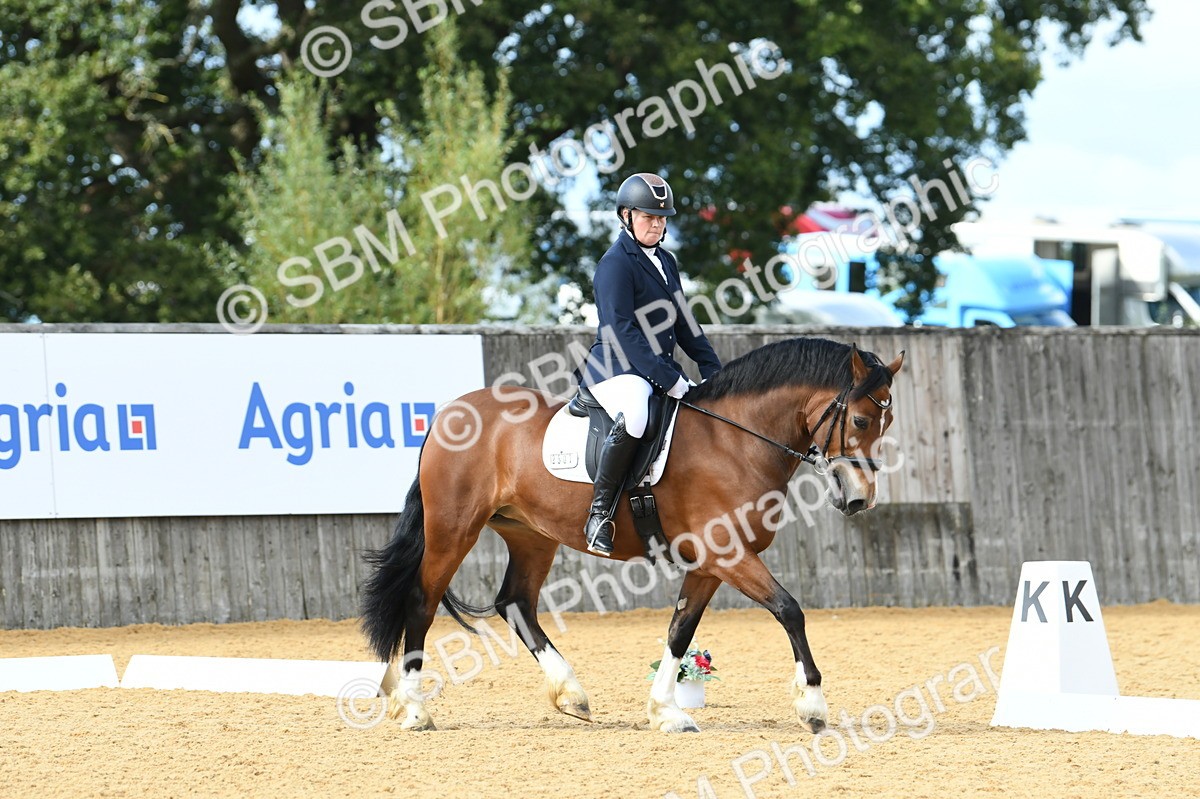 SBM_07430 - D15 Small Tour Championship Novice 24