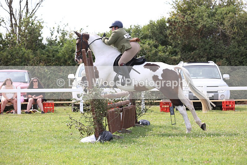 JPP_4050 - Class 24: Working Hunter 90cm