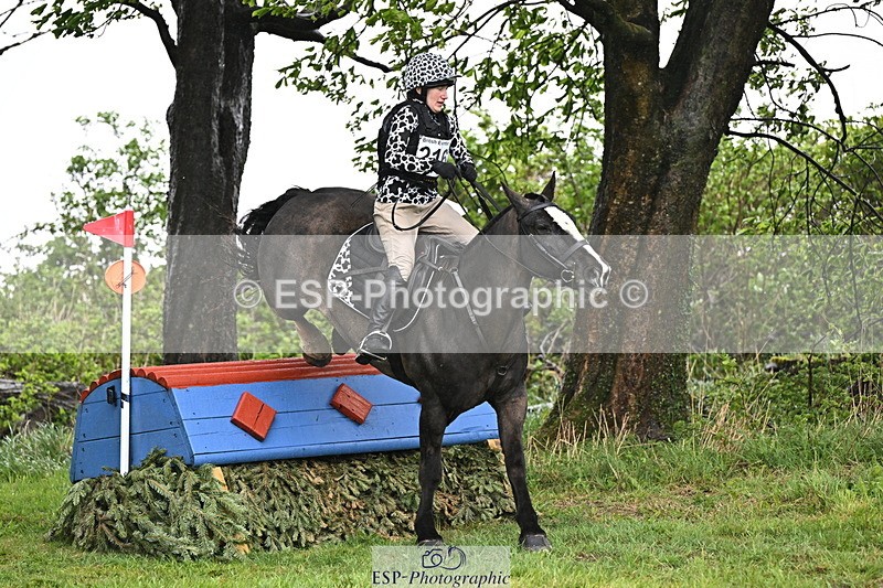 250418-142402-05549 - 216-Kt.English-Baillie-CRISTAKELL.MR..DOUGAL