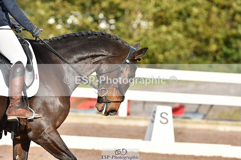 231104A-120943-00383 - Cls 7 Elementary 43