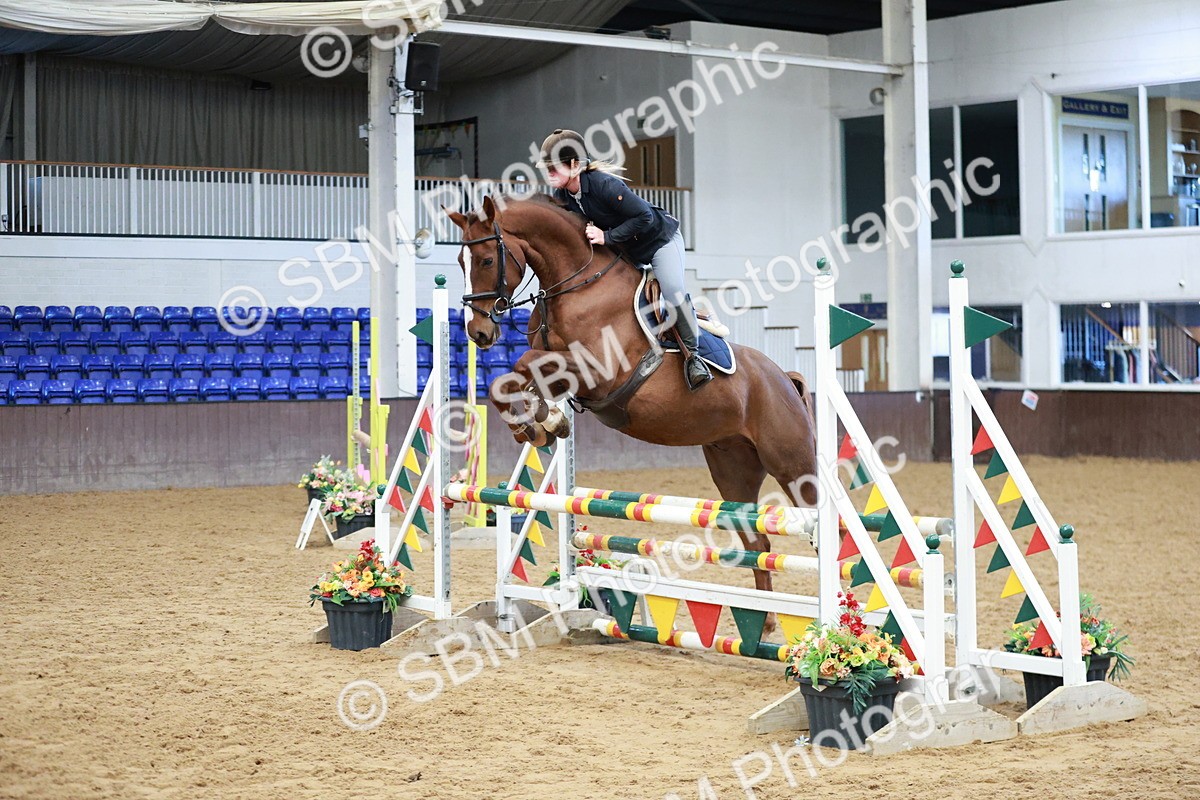 SBM_003216 - Class 9 - Senior British Novice - 90cm