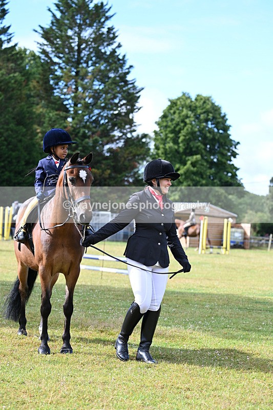 WJ7_4292 - Class 1 Lead Rein Pony