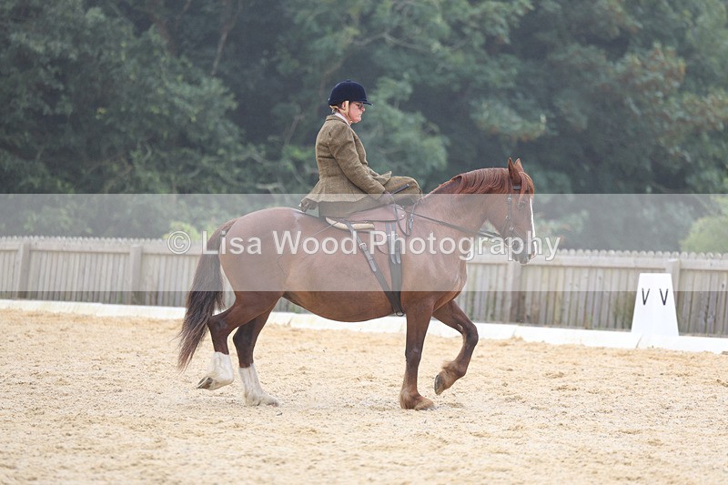 3E7A6864 - Class 5: Prelim to Music