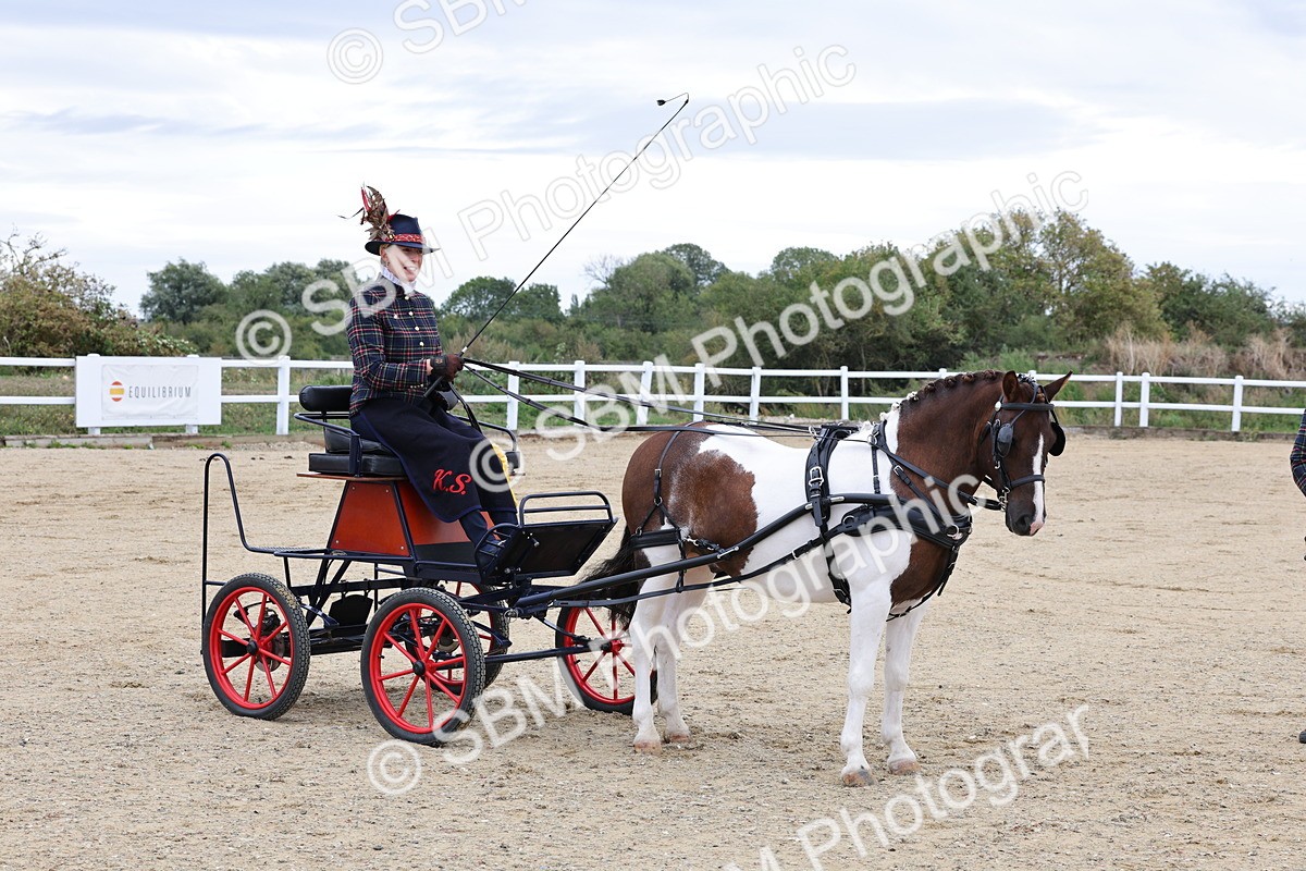SBM_000335 - Class 2 - Exercise Vehicle 13.2hh & Under