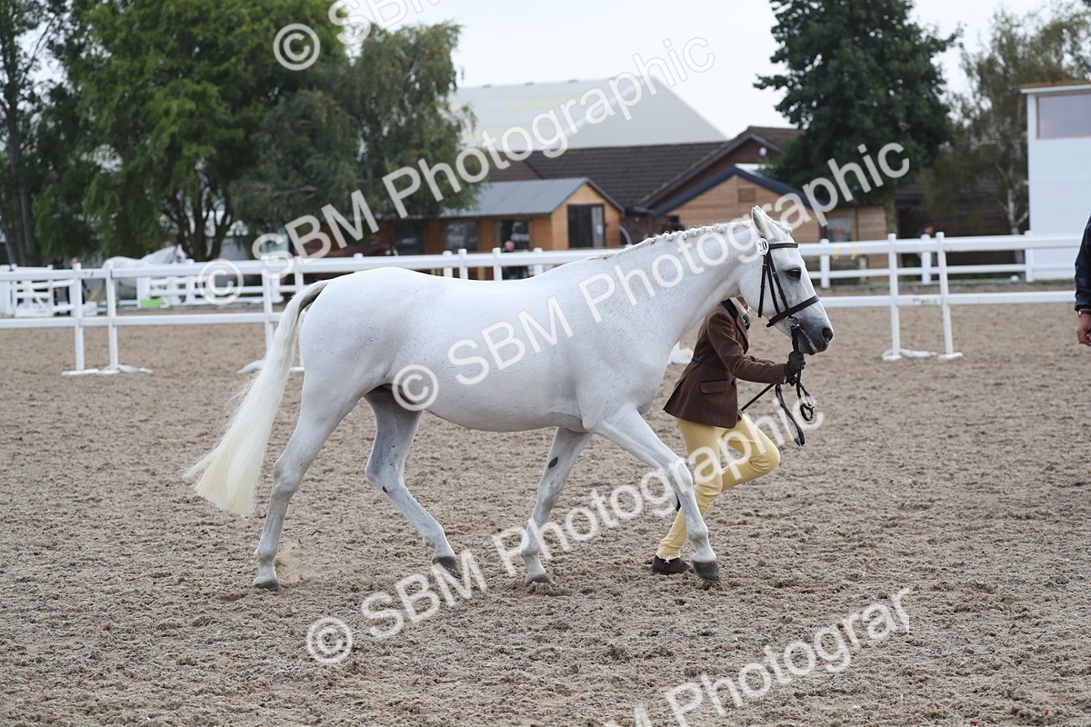 SBM_23137 - Class 605 - 2025 Area - IH Veteran