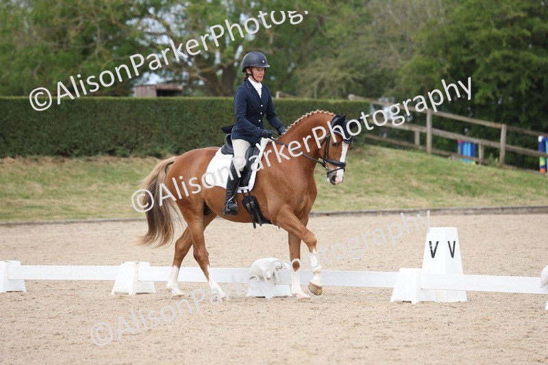 20250604-0463 - Class 3 - Novice 5