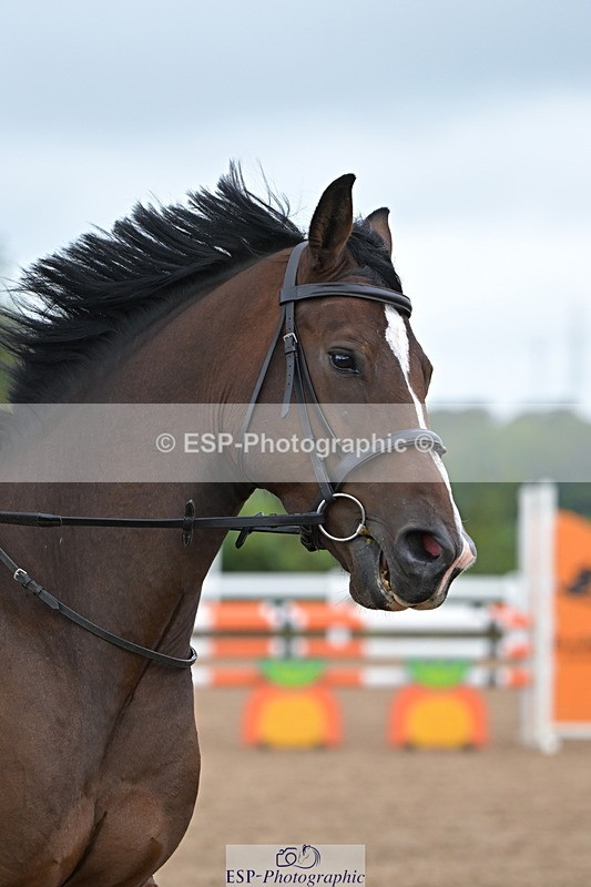 240925A-105156-00140 - Cls 1 British Novice and 90cm Open