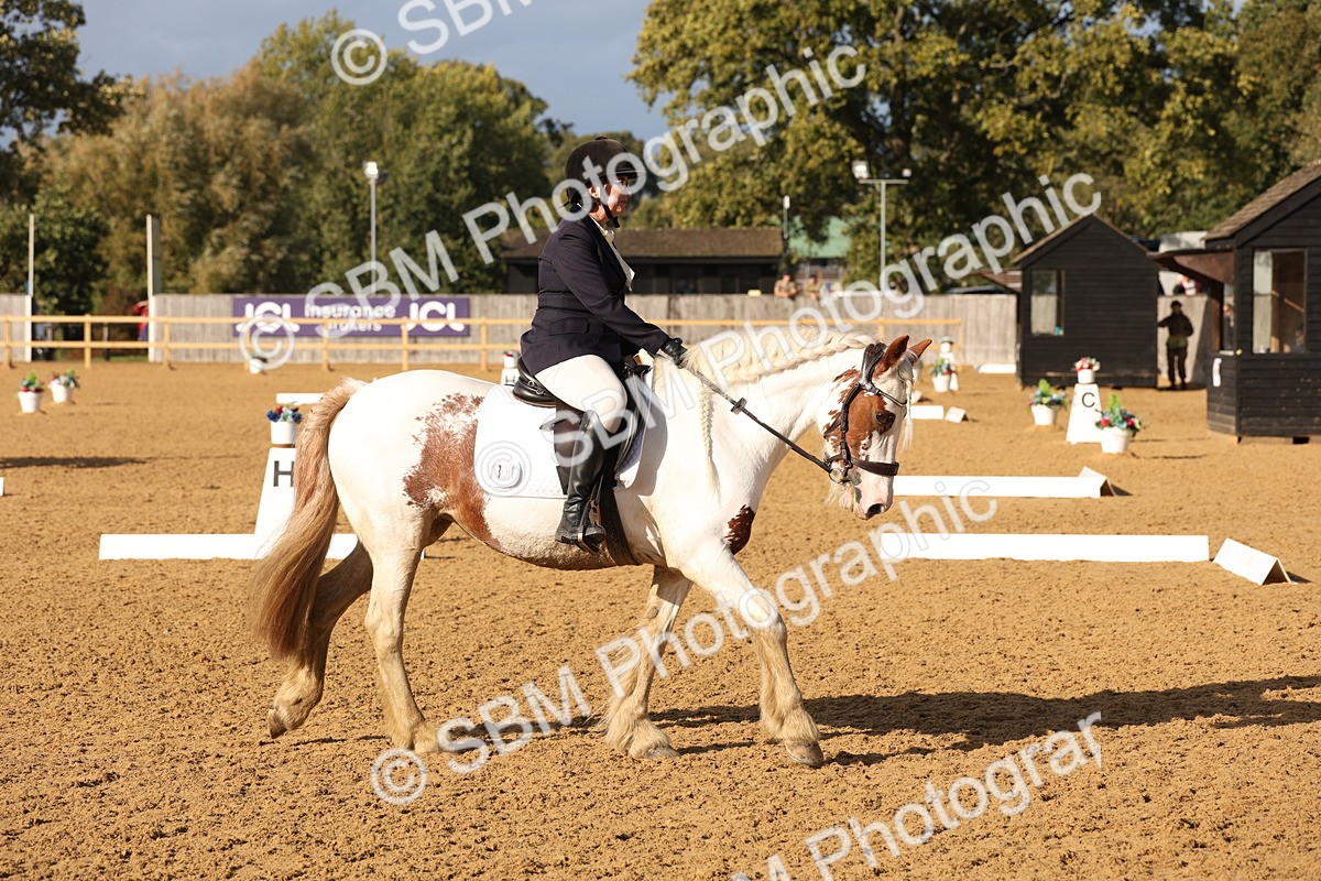 SBM_50532 - D12 - Small Tour Championship prelim 2