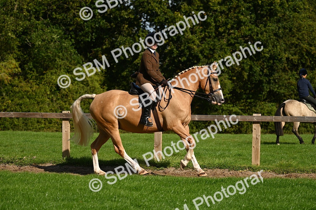 SBM_01420 - S2 - TSR Ridden Horse Showing