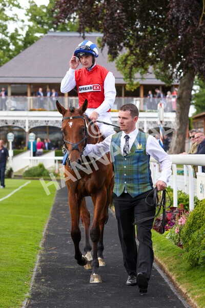 yr10062022r2-36 - Race 2 2.30pm SKF Rous Selling Stakes