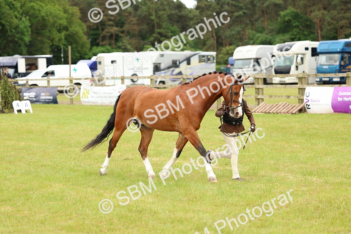 SBM_10255 - Class 44-45 - LIHS BSPS Open Nursery and Cradle Stakes