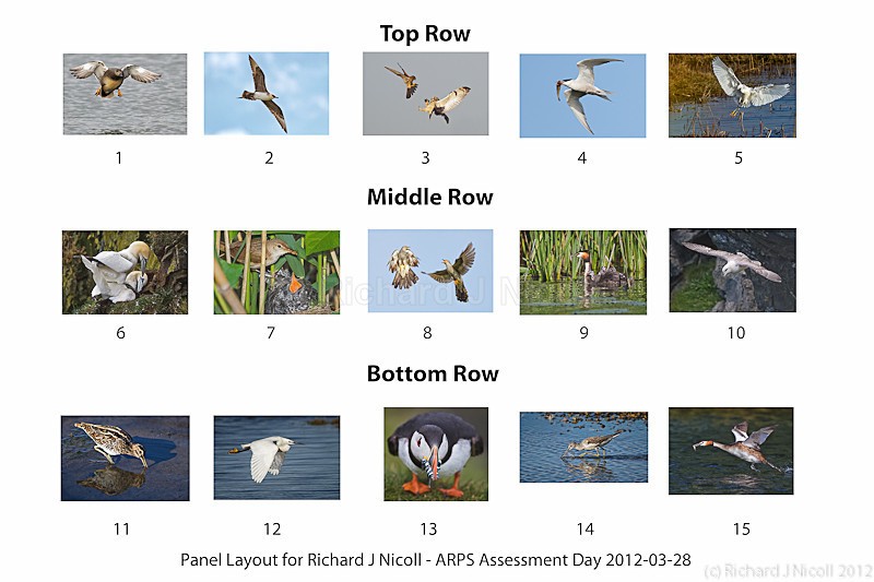 ARPS Panel - ARPS Panel