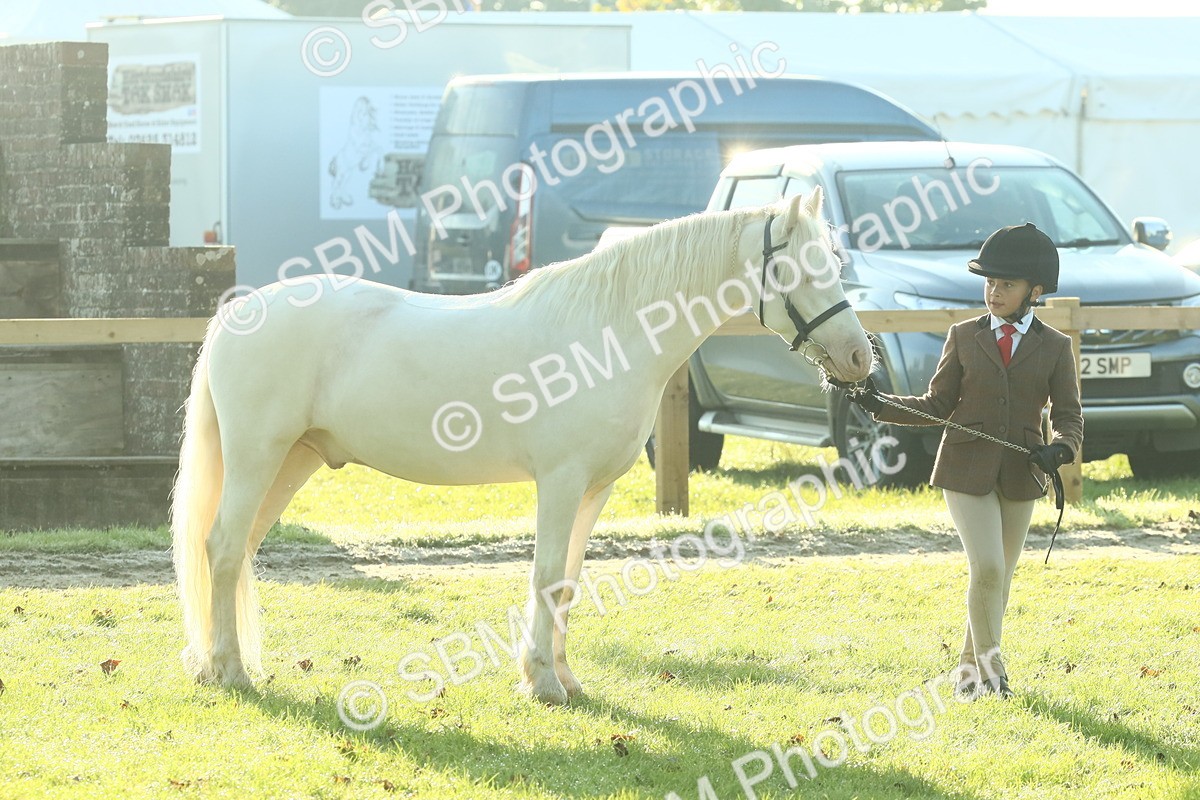 SBM_57382 - S37 - Starters In Hand Showing
