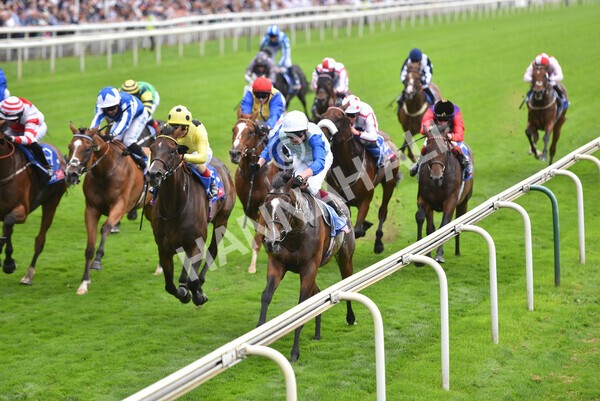 yr20082021r1-31 - Race 1 1.50pm Sky Bet Stakes