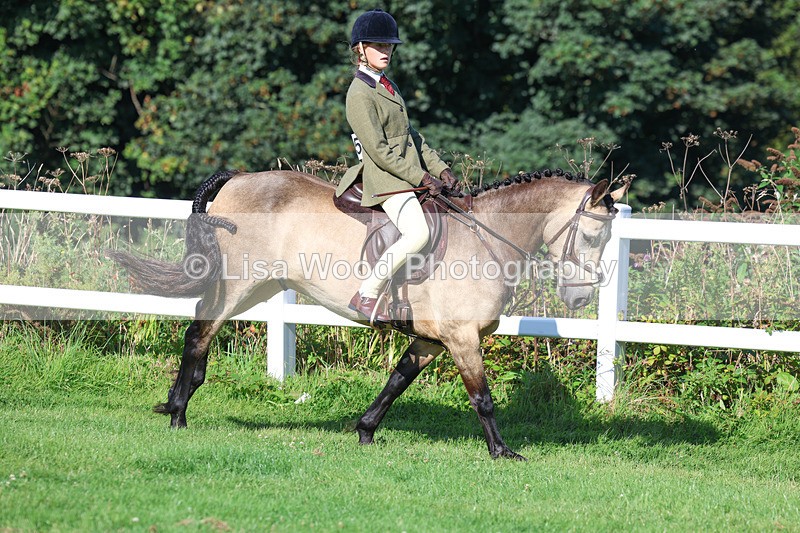 3E7A7843 - Class 2: Open Working Hunter pony