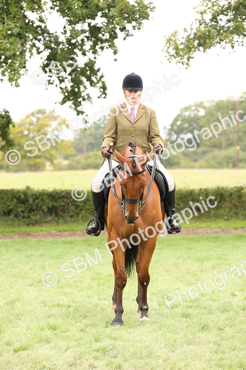 SBM_66397 - S66 - Hunter Ridden