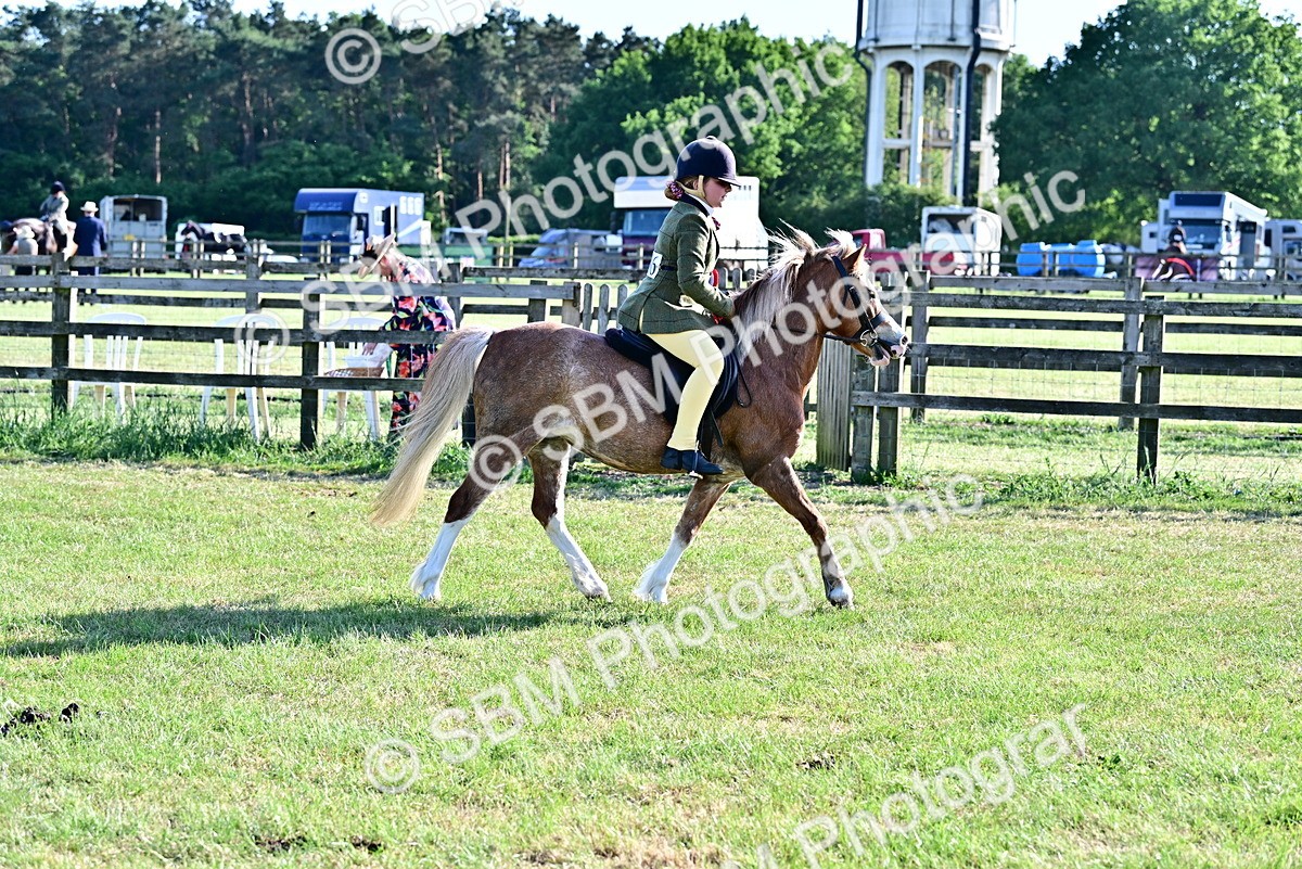 SBM_19863 - Class 103 - 105 - TSR Ridden Amateur of the Year Plaited Ponies