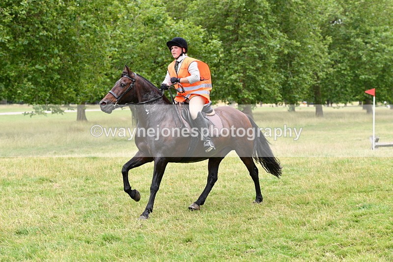 WJ5_3146 - Time at Jump 14:47 to 15:17