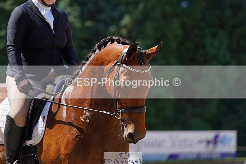 240719-115038-01330 - 279-Philippa_James-Lily_ley