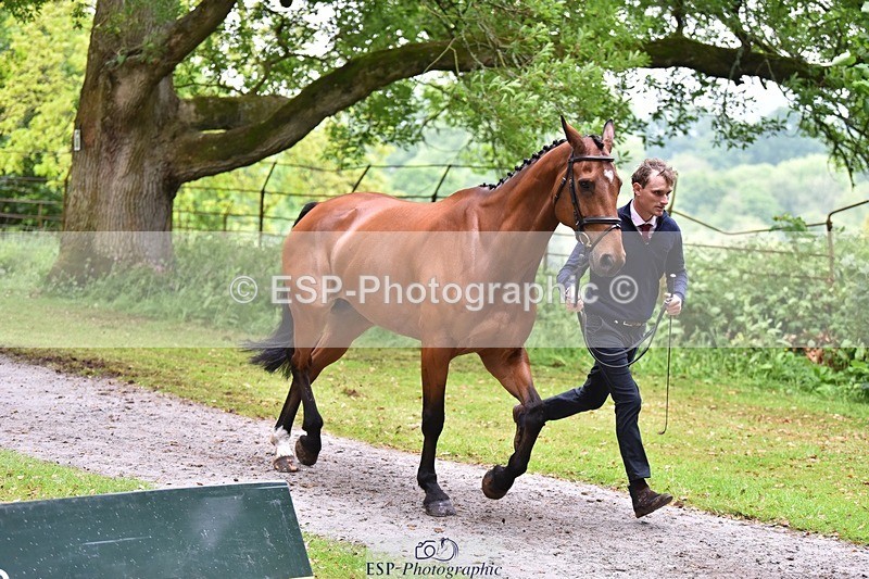 240522-170940-01429 - 241-CLASS_ROMANCE-Jack_Pinkney