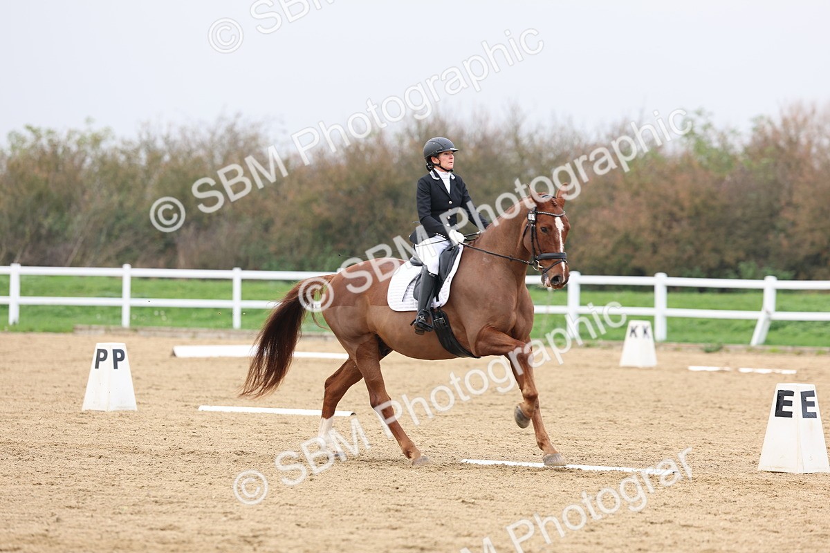 SBM_008437 - Class 11 - Medium 5