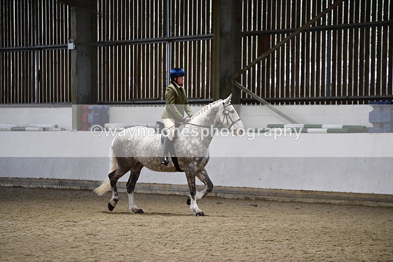 WJ5_8238 - Class 14 Novice Ridden/Rider
