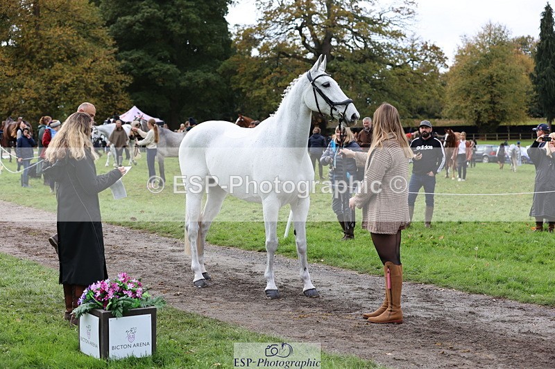 251026A-113905-25591 - G-558-Chloe.Chamulewicz