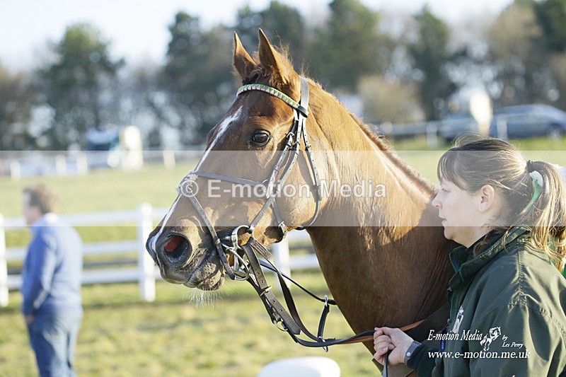 PtP 270222 665 - South & West Wilts Point-to-Point Larkhill 27/02/22
