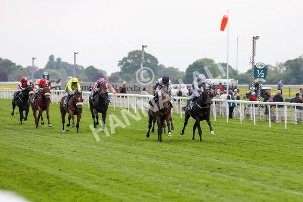 160524-Race 6-Andesite-1953 - Race 6 4.45pm Frank Whittle Partnership ebfstallions.com Novice Stakes