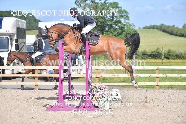 BPP_4565 - CLASS 3 Senior British Novice/ 90cm Open