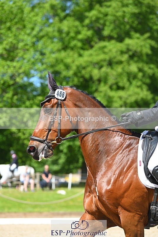 230526-111902-05742 - 466-BAMBINO_DE_L'ILATTE-Paolo_Torlonia-DR