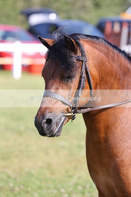JPP_0579 - Class 15: Cornish Combination First Ridden