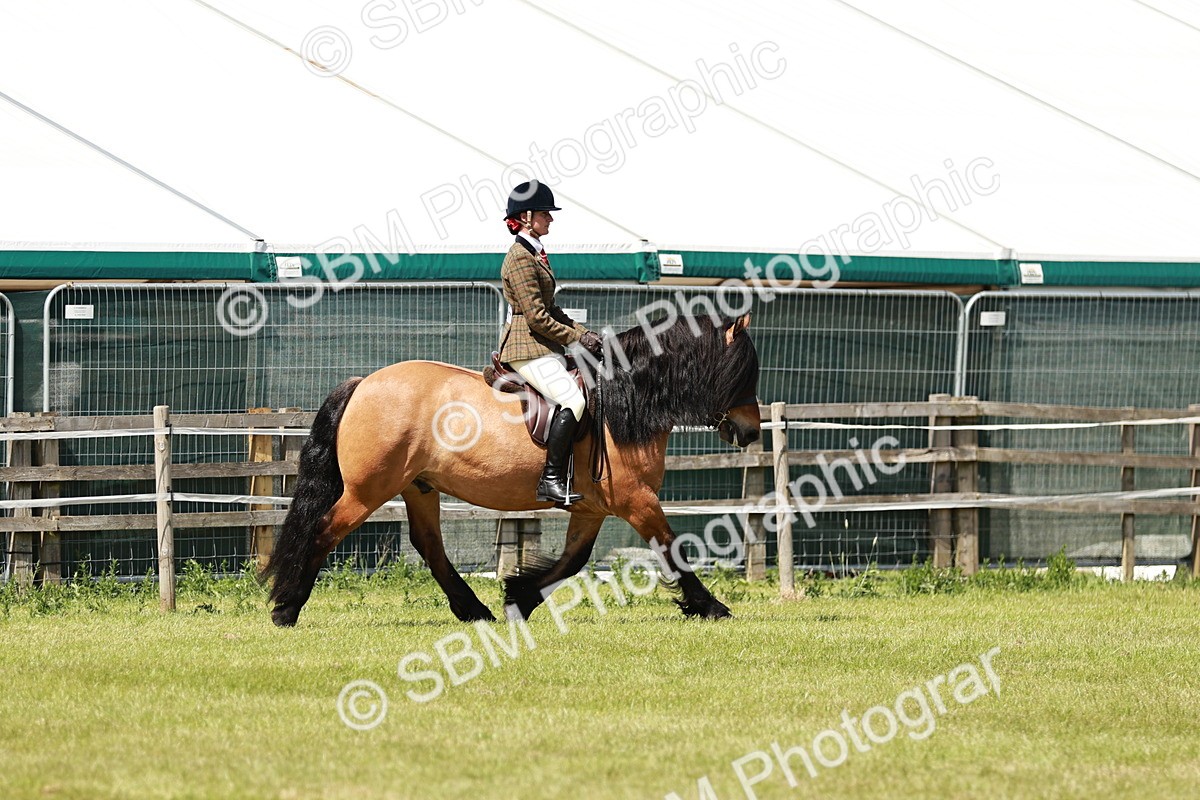 SBM_07097 - Class 26-30 - Mountain and Moorland Ridden