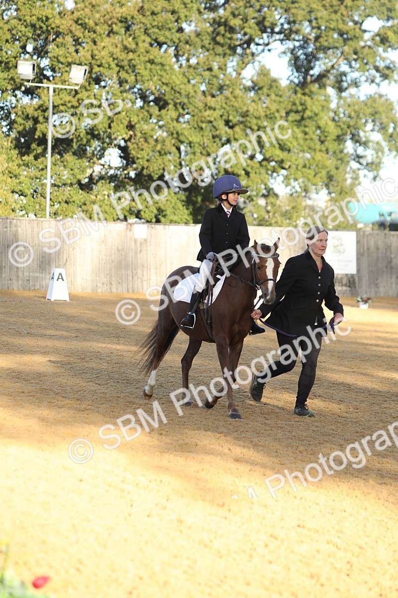SBM_33644 - D26 - Starers - Lead Rein