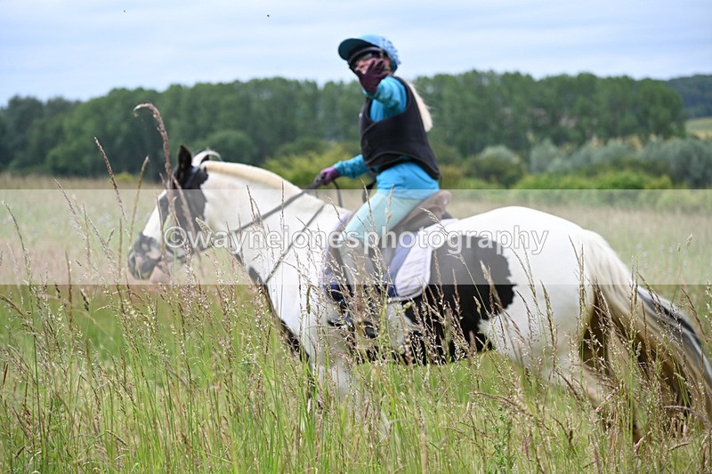 WJ6_8146 - Camera 1 Gallops